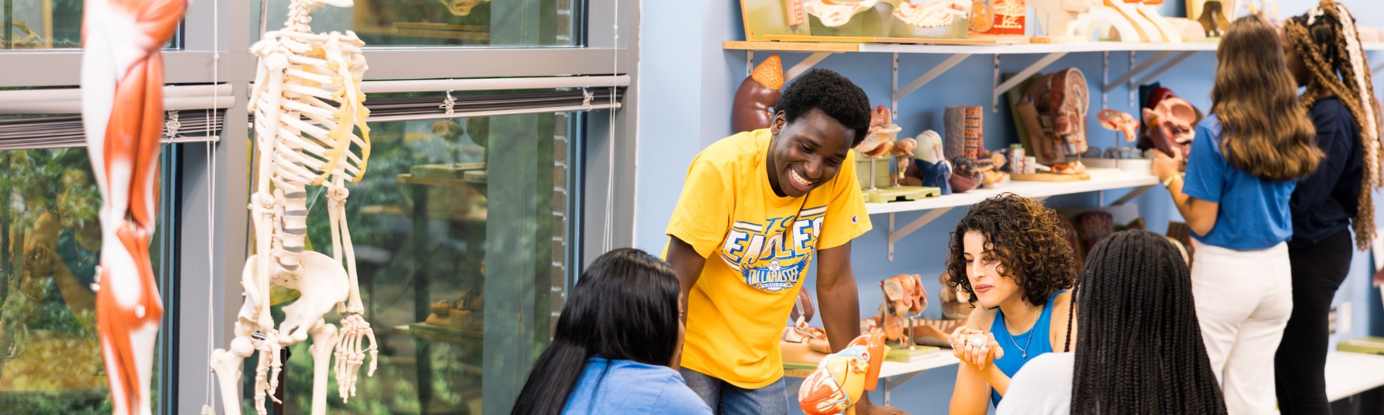 Students studying in an anatomical model lab.