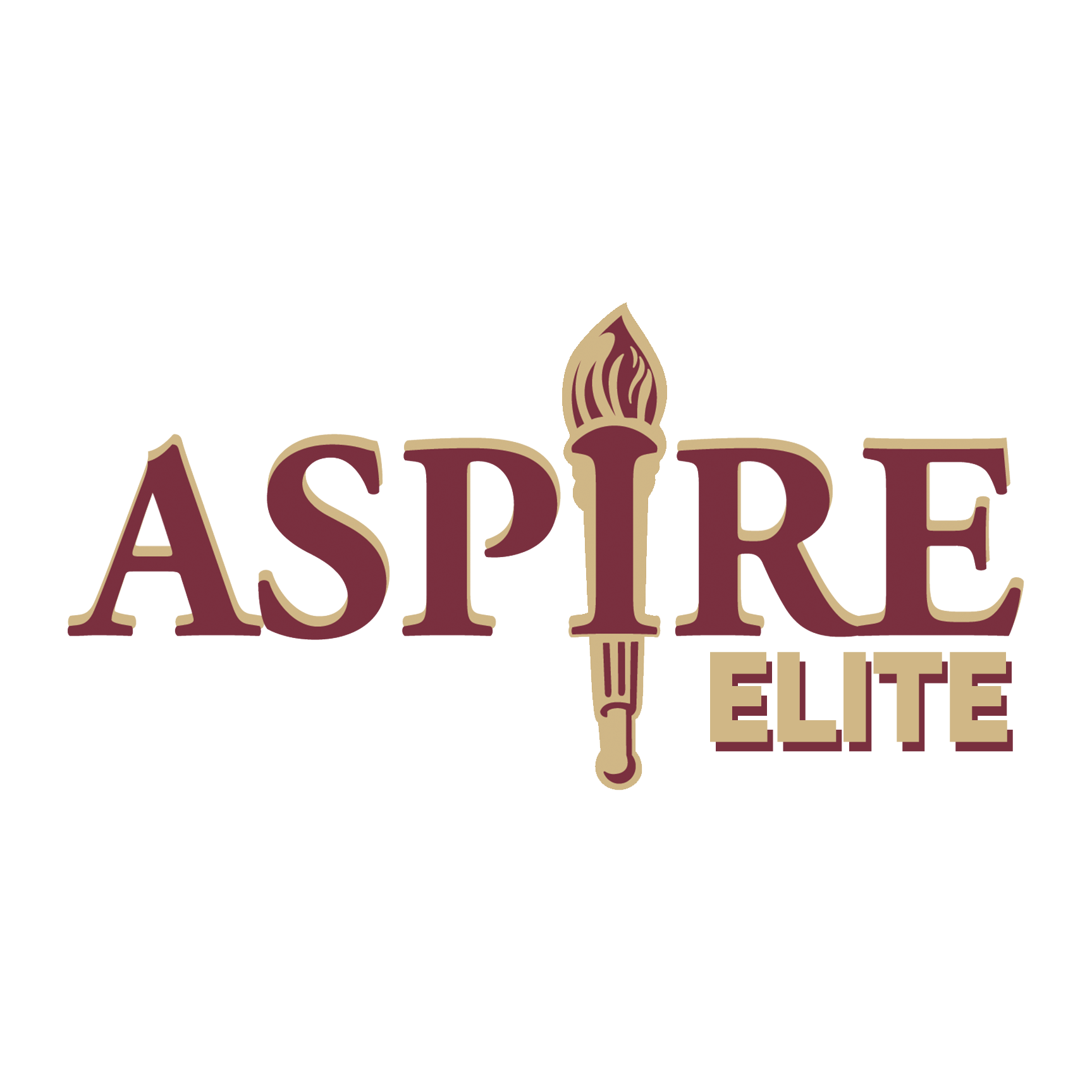 logo for Aspire Elite program, it's garnet and gold in color