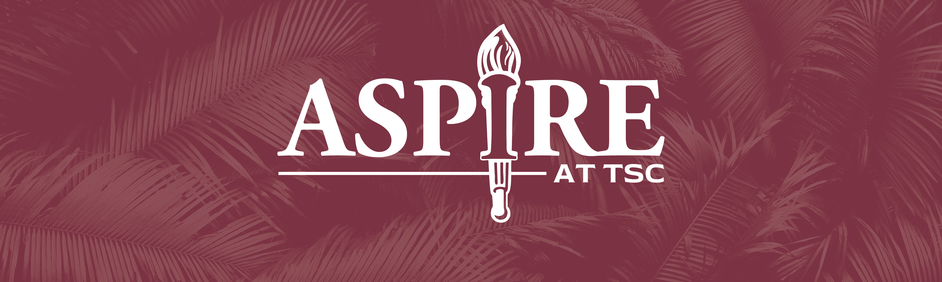 Garnet banner with Aspire at TSC logo.
